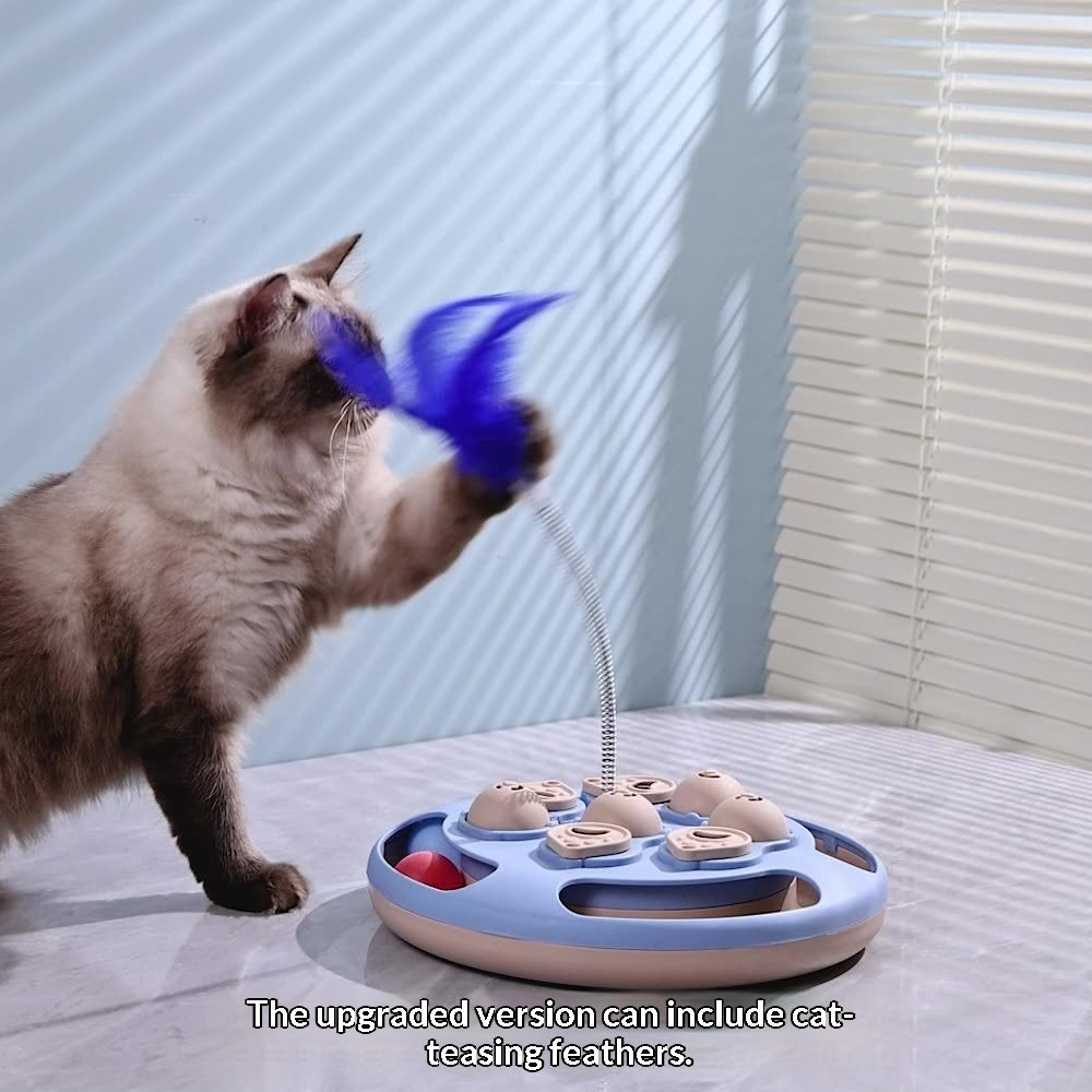 Hide and Dispense Domestic Cat Food