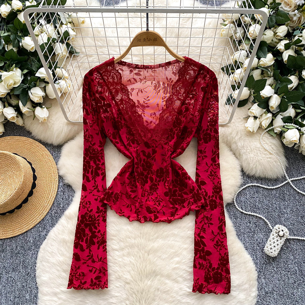 Lace mesh with long sleeves