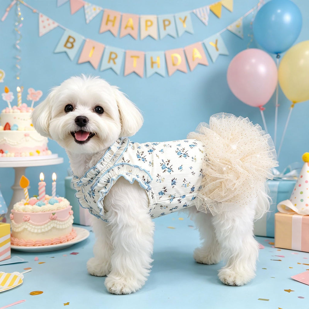 Robes de chien pour petits chiens fille