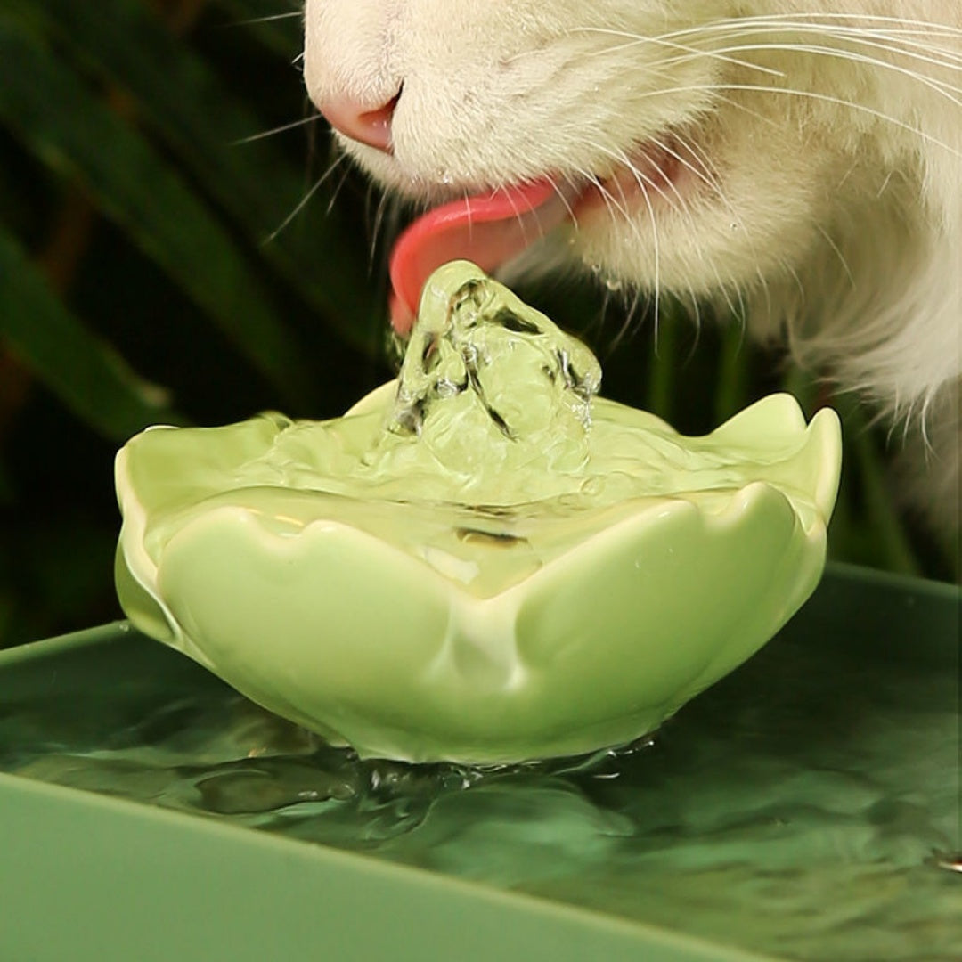 Fontaine d'eau filtrant automatique silencieux