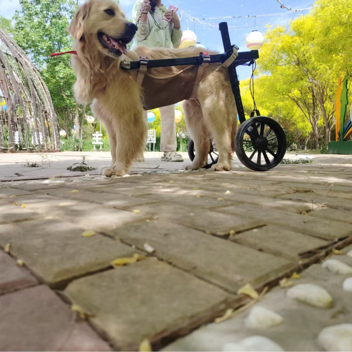 Aide à la mobilité en fauteuil roulant
