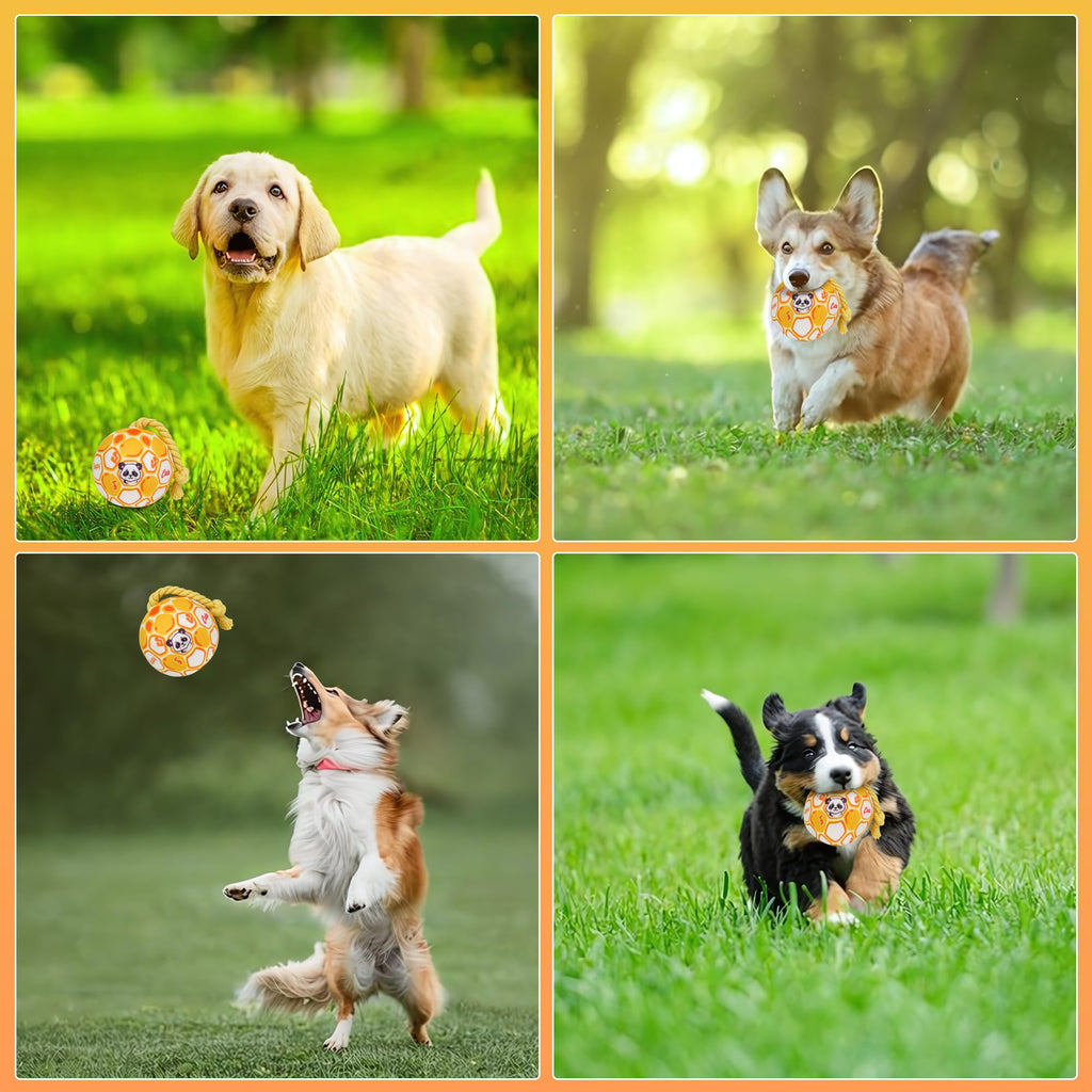 Jouets pour chiens pour petits chiens