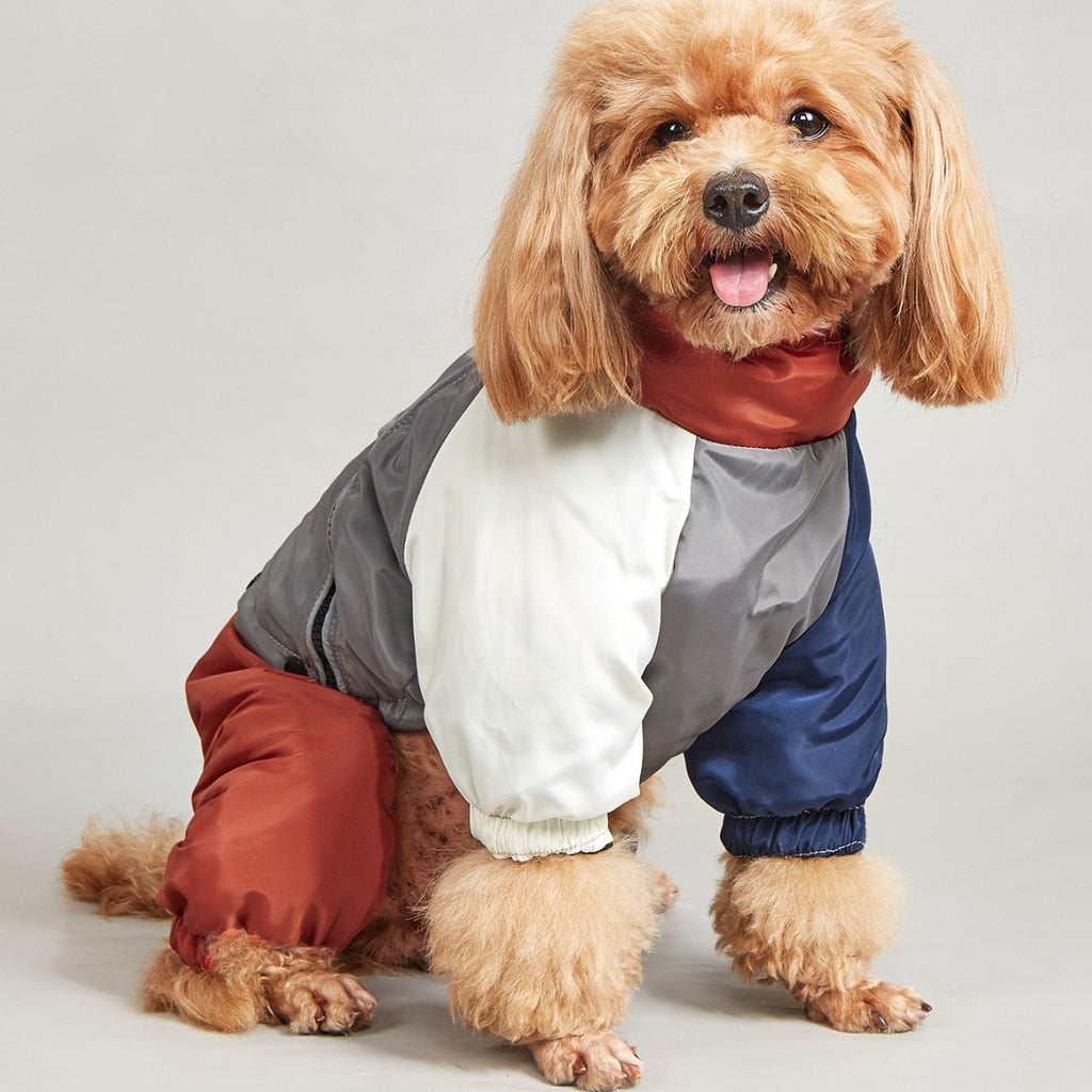 Animaux d'hiver couleur matching coton rembourré vêtements chien moyen grand chien chaud et confortable