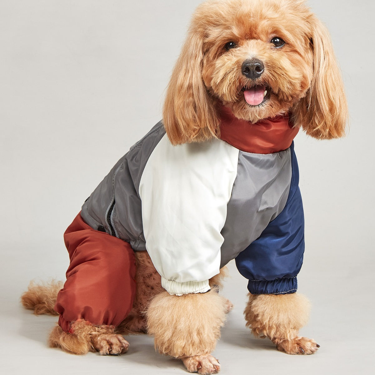 Animaux d'hiver couleur matching coton rembourré vêtements chien moyen grand chien chaud et confortable