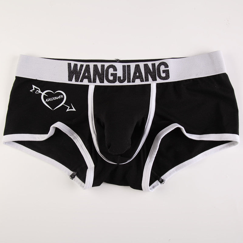 Sous-vêtements pour hommes Boxers Low Waist Coton U Convex Trunk Mode Sexy Boxers pour hommes