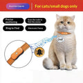 Localisateur de code QR pour les chats Petits chiens