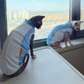 Sphynx Cat Summer Cooling Stretch Shirt Blue Mesh Vest Sun Protection