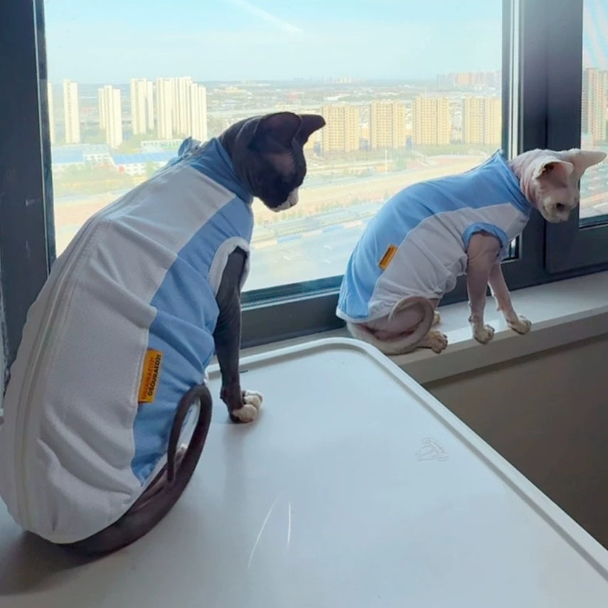 Sphynx Cat Summer Cooling Stretch Shirt Blue Mesh Vest Sun Protection