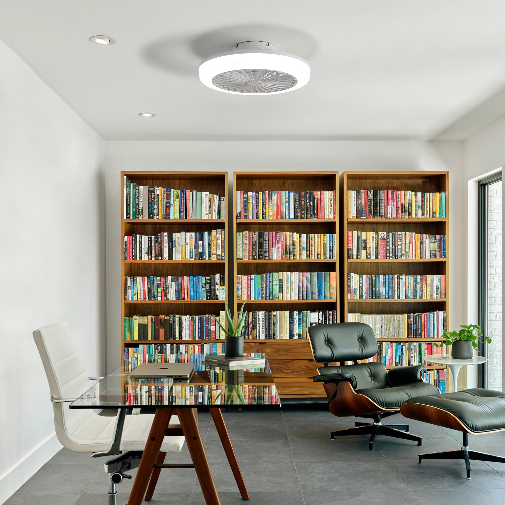 Eventail de plafond fermé de 18 pouces avec lumière et télécommande