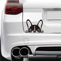 Autocollant de voiture bulldog français