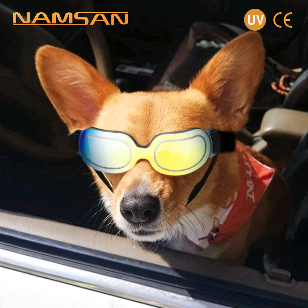 Animaux de compagnie fournitures colorés lunettes de chien lunettes Amazon