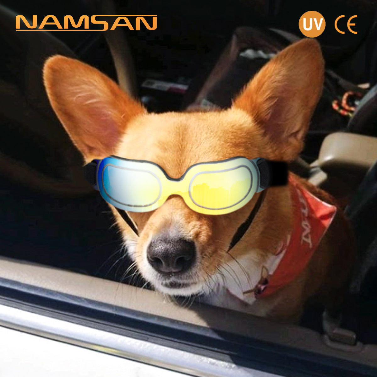 Animaux de compagnie fournitures colorés lunettes de chien lunettes Amazon