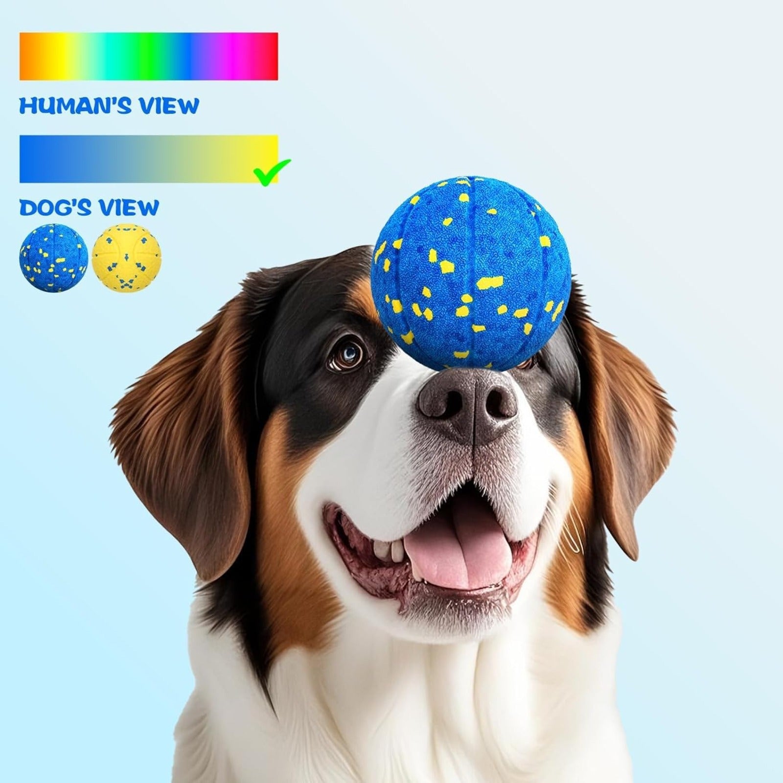 Balle de jouets pour chien bleu