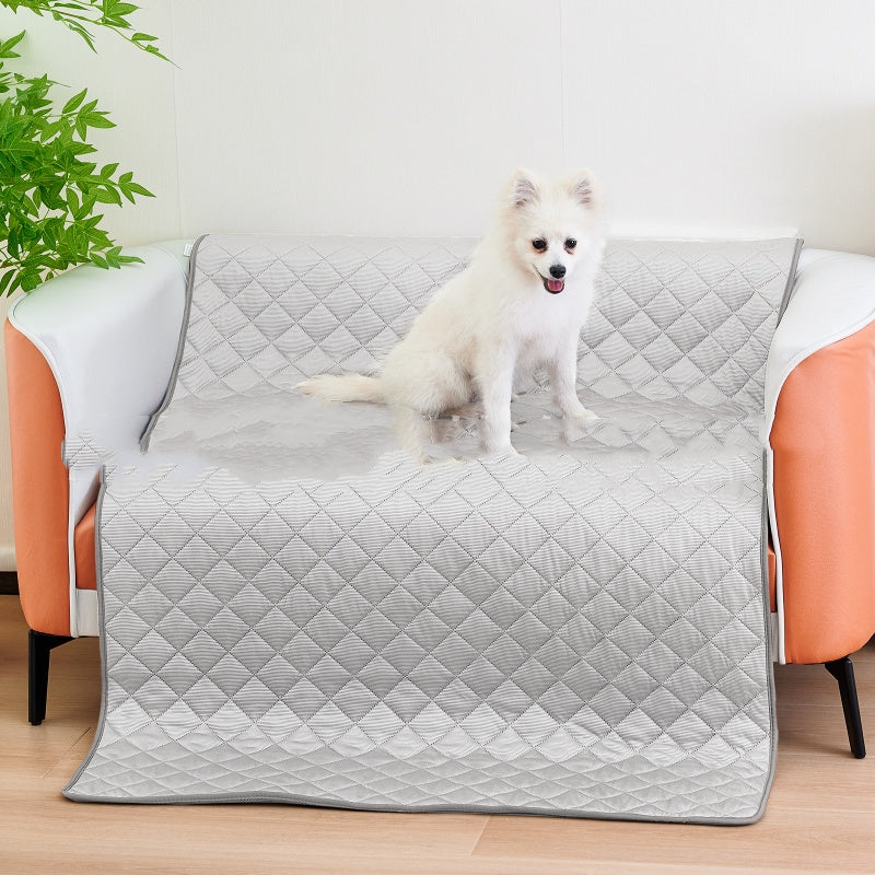 Matelot de chien d'été cool