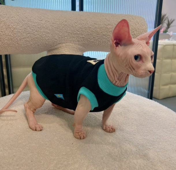 Sphynx Cat Sleeveless Black T-shirt with Blue Trim, Cotton, Spring/Summer Clothing for Hairless Cats