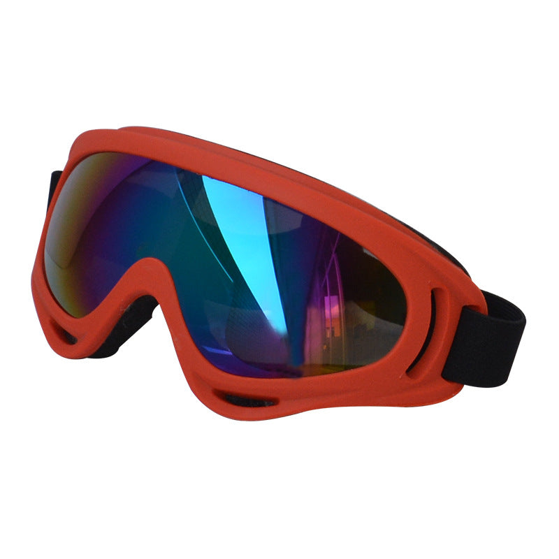 Lunettes de soleil extérieures pour chiens Décoration