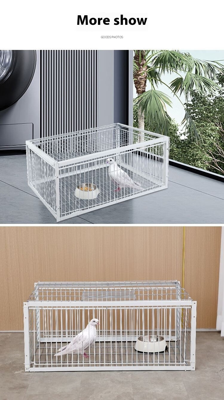Cage de retour chiffré de porte en réseau actif Pigeon