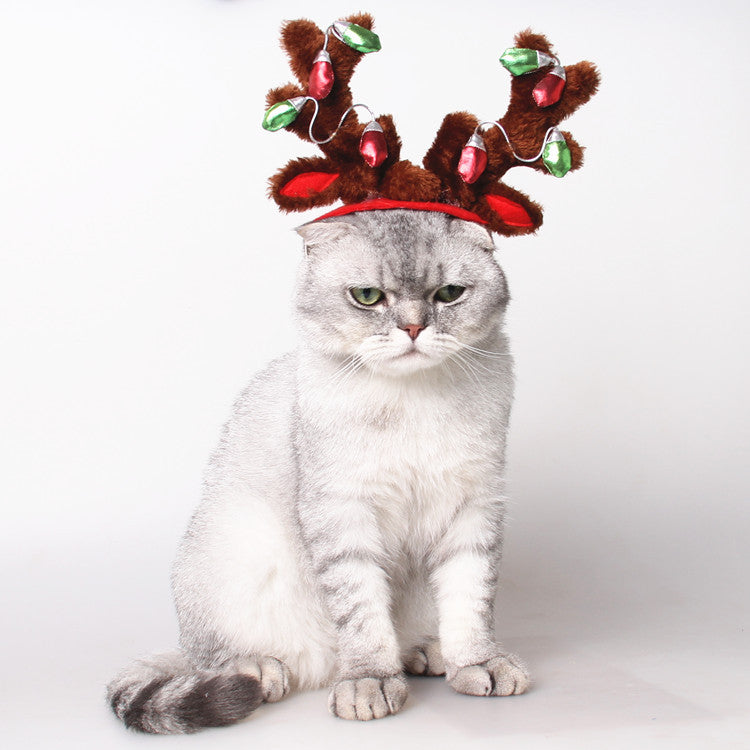 Accessoires pour animaux de compagnie Chapeau de chien de Noël