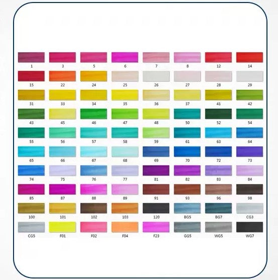Double-tête alcool huileux couleur Animation stylo de peinture pour les étudiants professionnels d'art