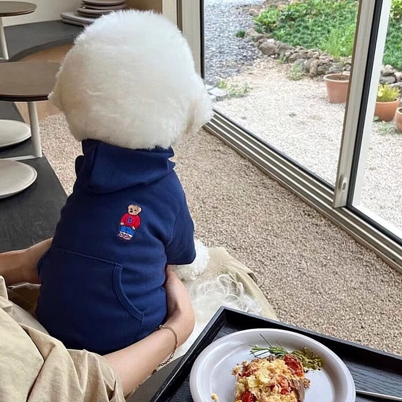 Chandails pour chiens