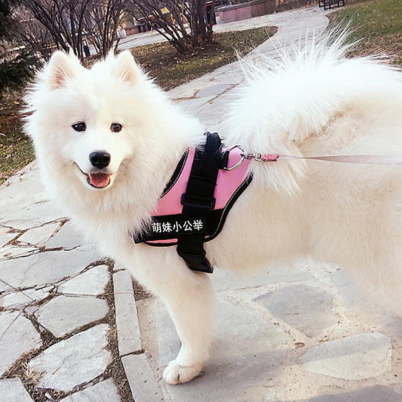 Set de ceinture de poitrine en laisse d'animal de mode simple
