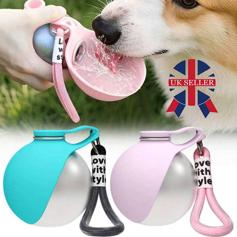 Bouteille d'eau portable 2-en-1 pour chien en acier inoxydable avec bol en silicone pliable
