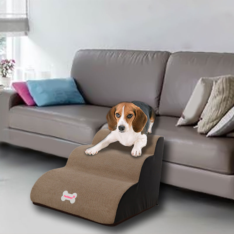 Petit chien Teddy sur le canapé au lit Escalade d'échelle modèle