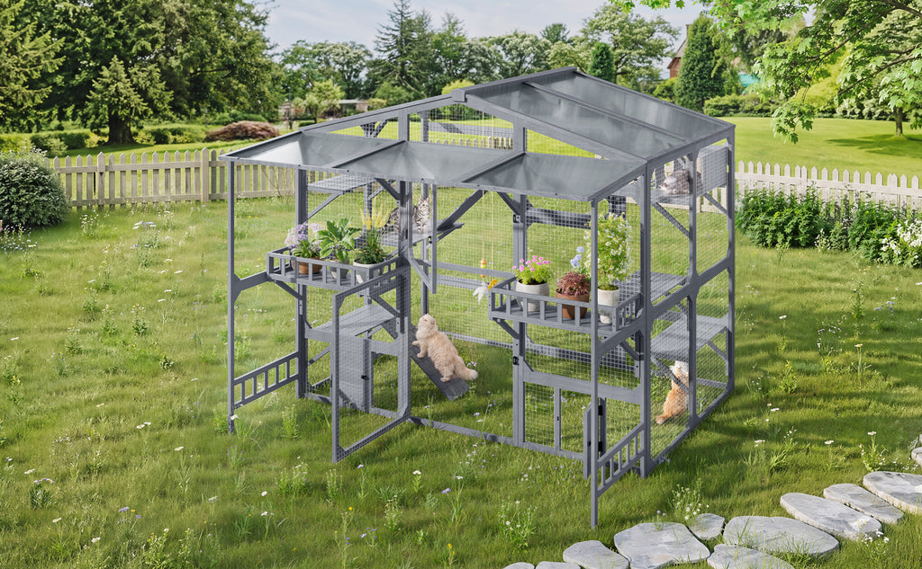 Grand Catio extérieur pour 6-10 Chats