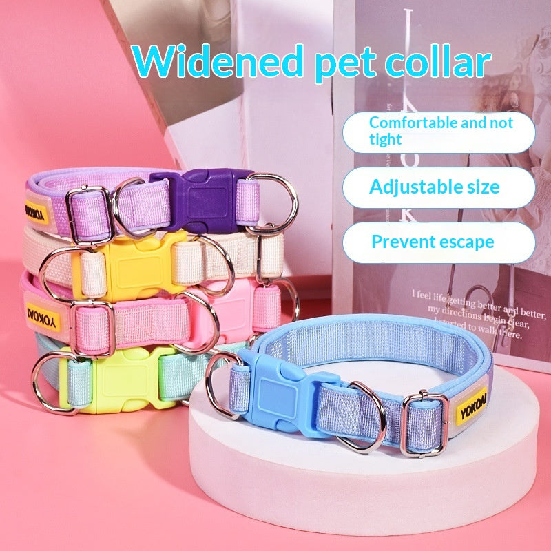 Collier de collier de chien collier