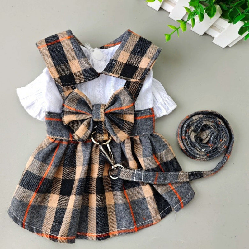 Robes de chien pour promenades en plein air avec une laisse