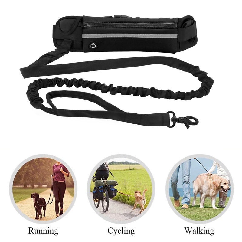Entraînement pour animaux de compagnie Multi-Pocket Légère laisse