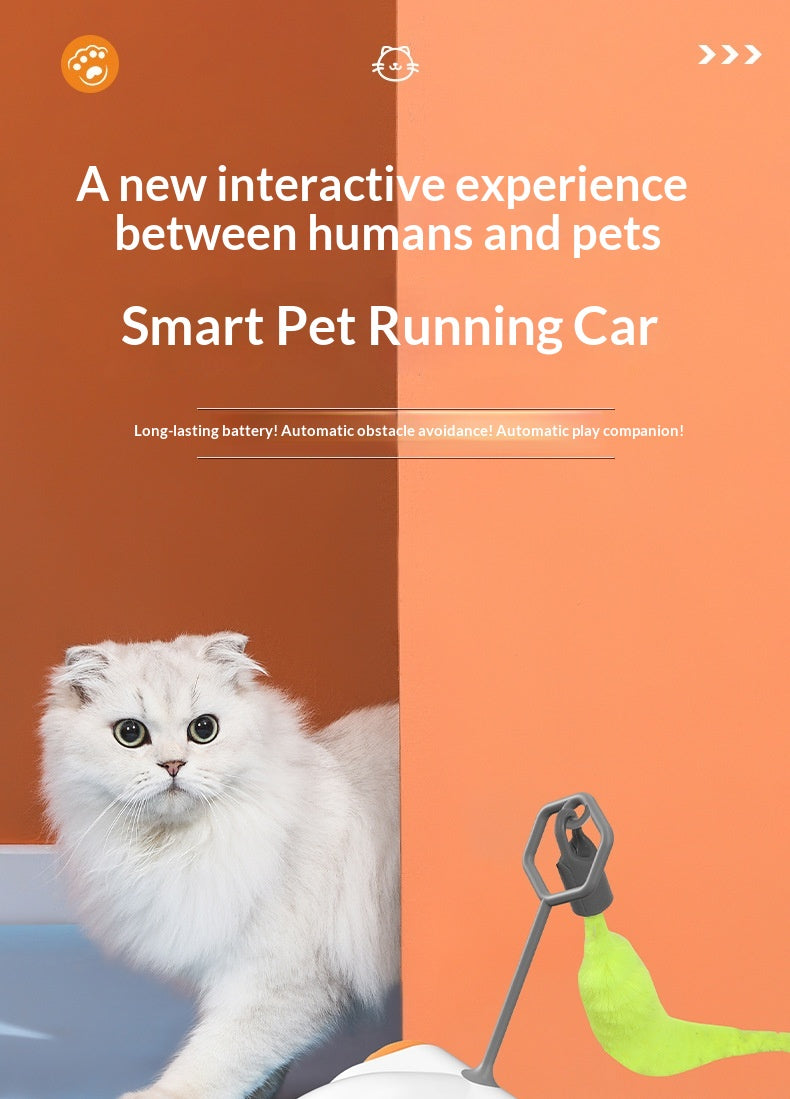 Jouet de chat électrique Smart Racing avec souris de simulation
