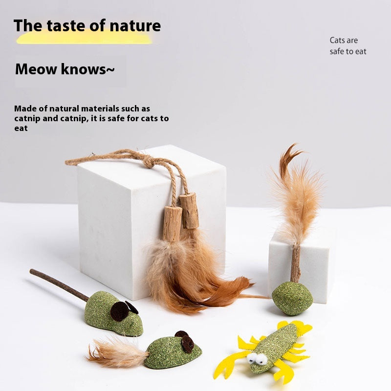 Jouet multiflore polygone au panais auto-hi
