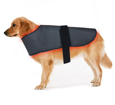 L Size Pet Red Light Infrared Physiothérapie Instrument Chiens et chats Retour et Abdomen Inju