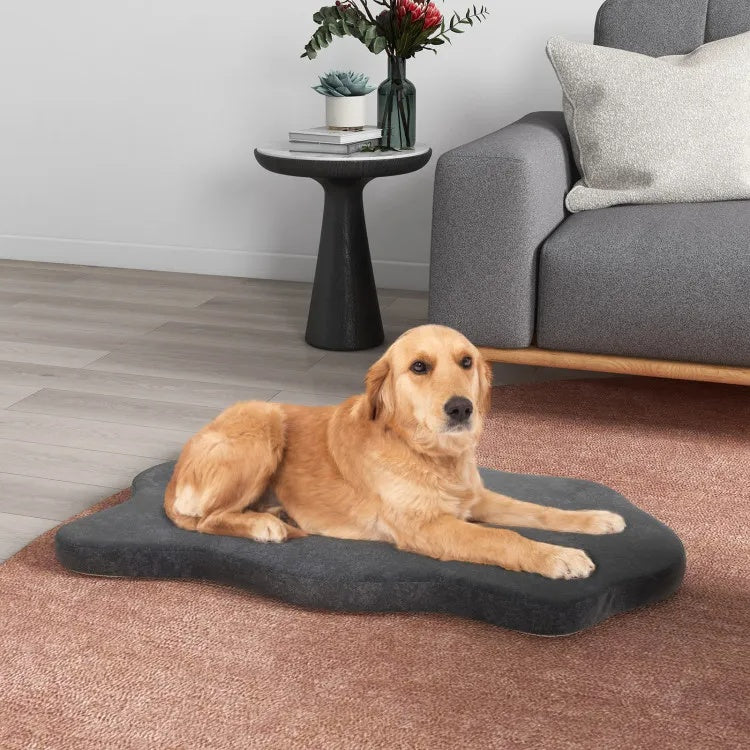 Orthopedic dog bed with memory foam support for large dogs