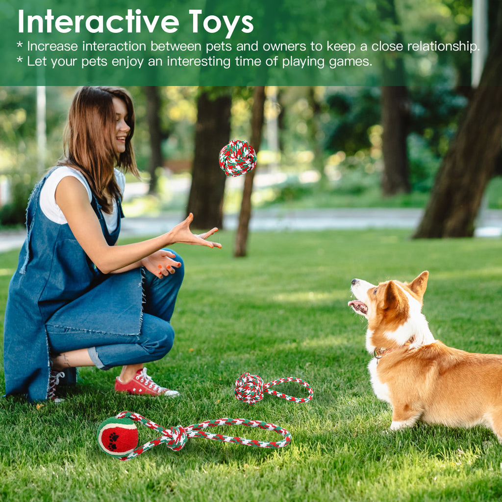 Ensemble de 5Pcs Rope de chien de Noël Jouets de Chew Jouets interactifs de chien Set pour chiot petit moyen A