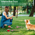 Ensemble de 5Pcs Rope de chien de Noël Jouets de Chew Jouets interactifs de chien Set pour chiot petit moyen A