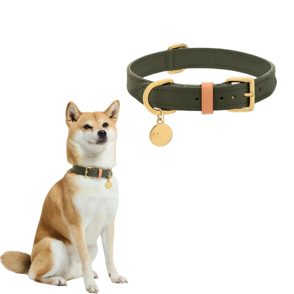 Collier en cuir véritable animal de luxe abordable