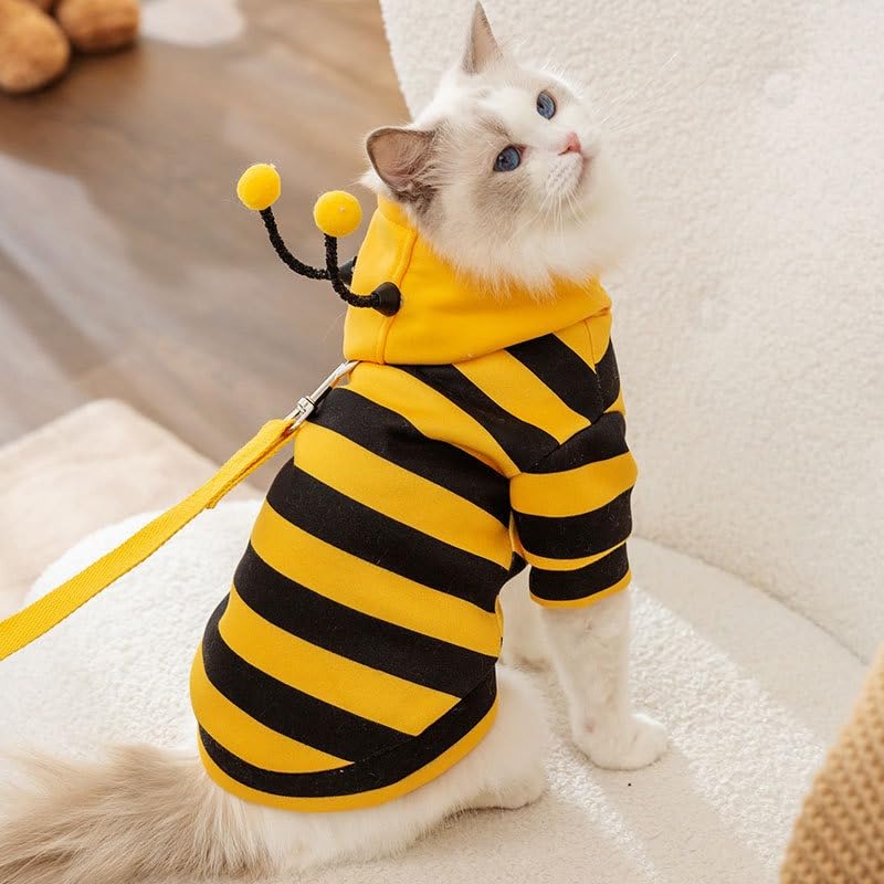 Costume d'abeille de chat mignon - Vêtements d'Halloween pour animaux Bumble Bee Cosplay Vêtements Antenne