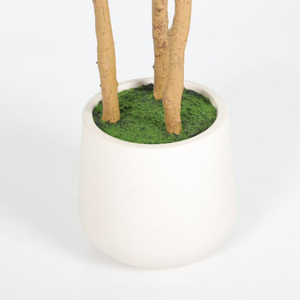 5.2FT Figuier artificiel de feuille avec pot blanc décoratif