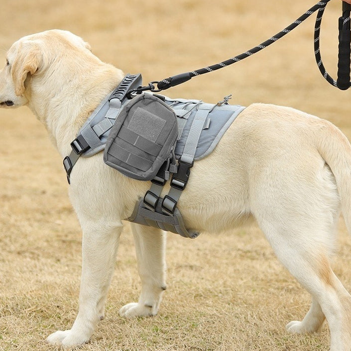 Veste tactique pour grands chiens Outdoor Splash-Proof