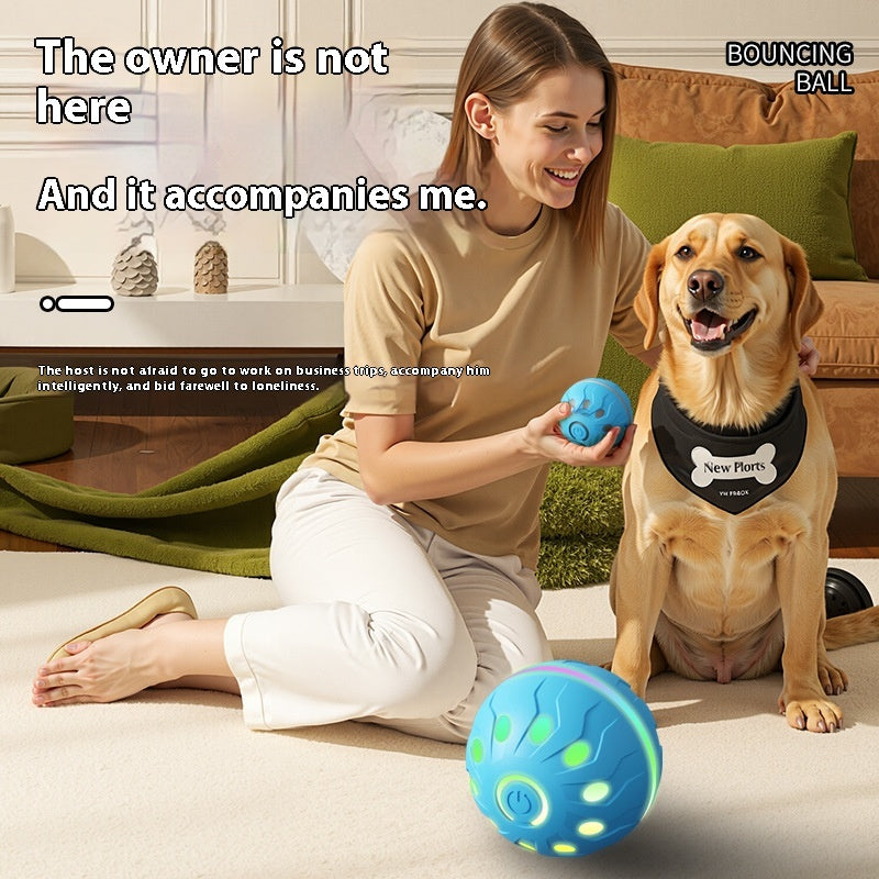 Jouet de chien saut drôle Automatique boule de chien drôle