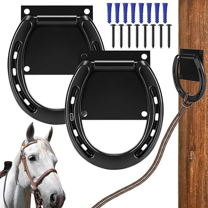 Bolt d'expansion de ceinture en acier solide avec anneau de cravate pour les chevaux lassoing