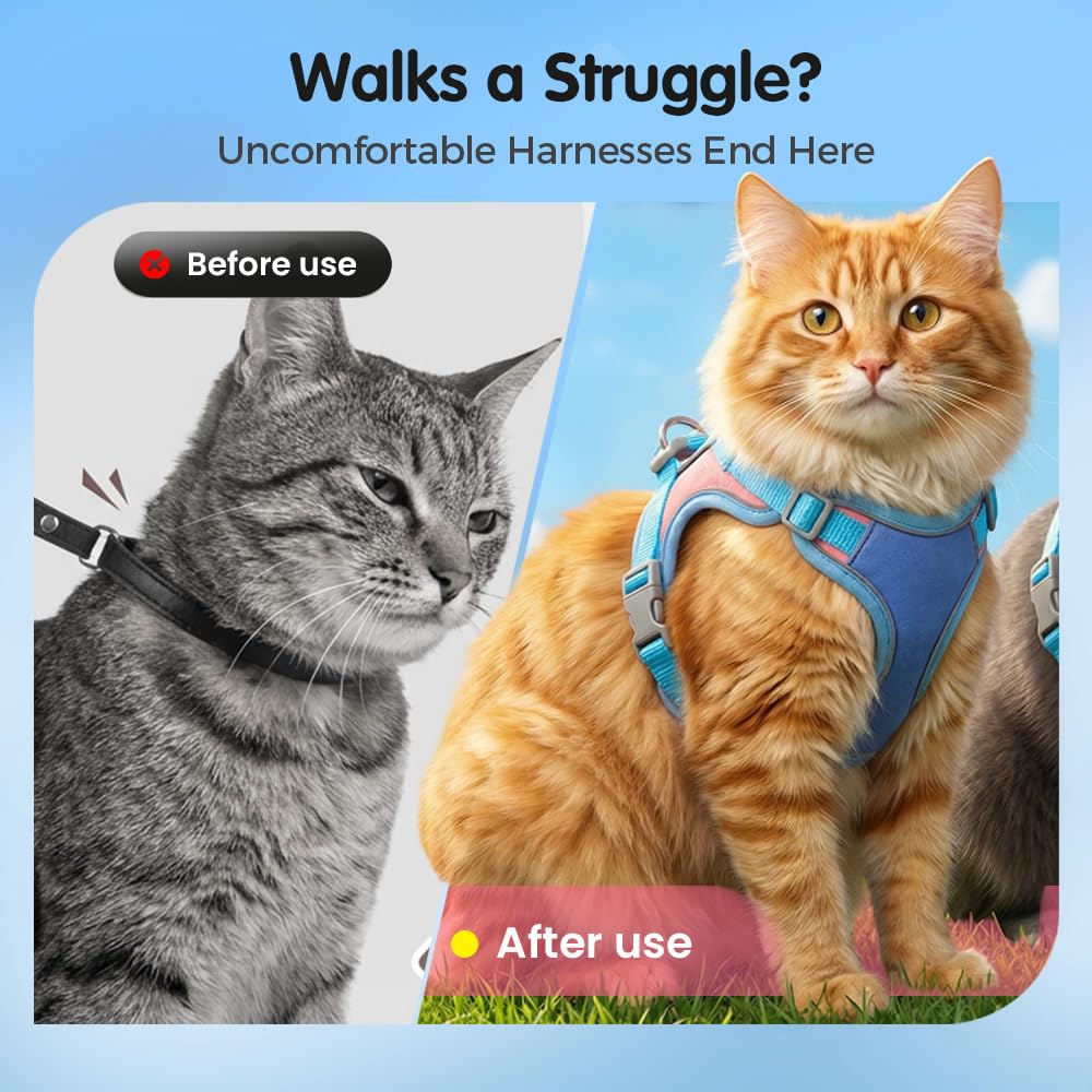Cat harness and leash