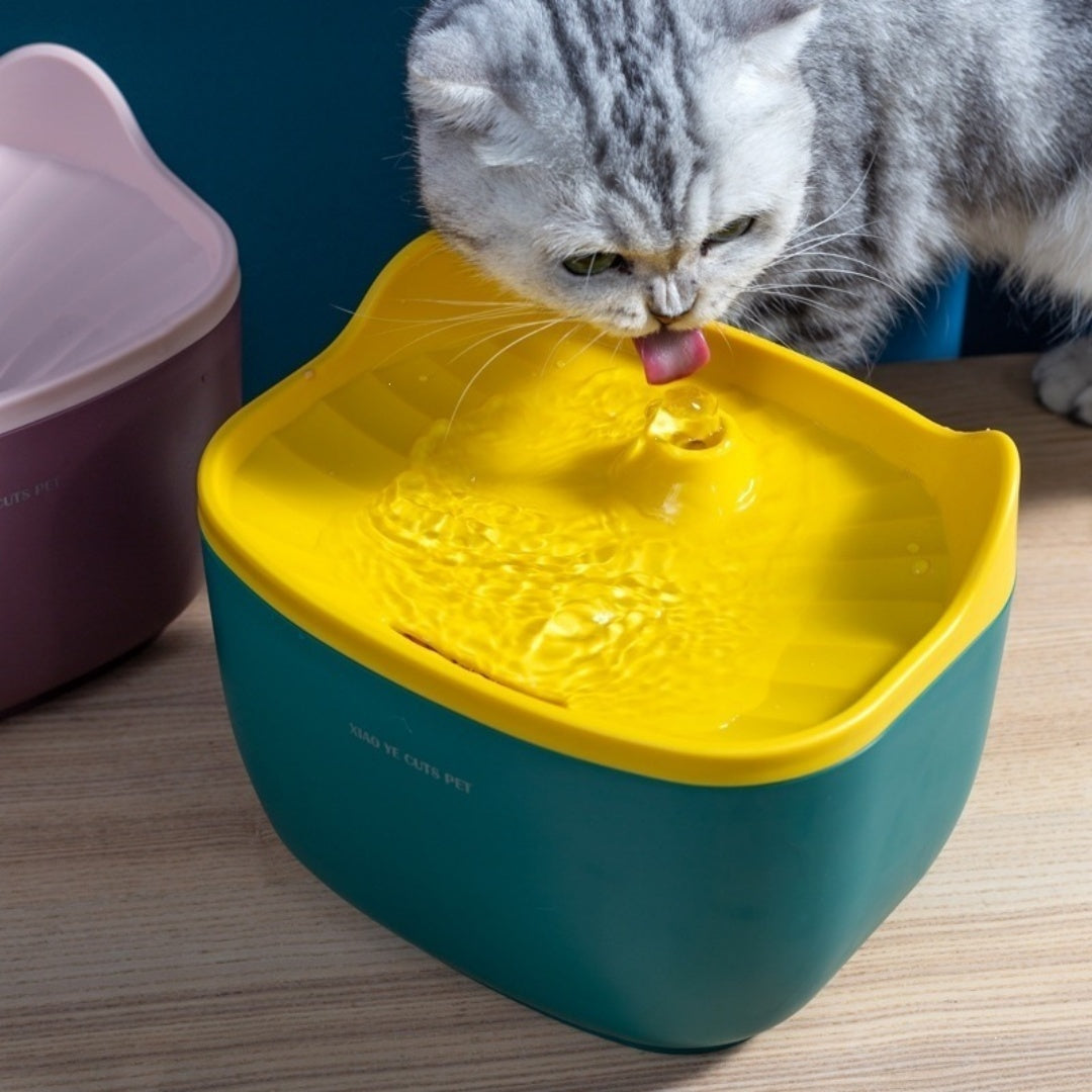 Fontaine d'eau pour animaux de compagnie intelligente et silencieuse