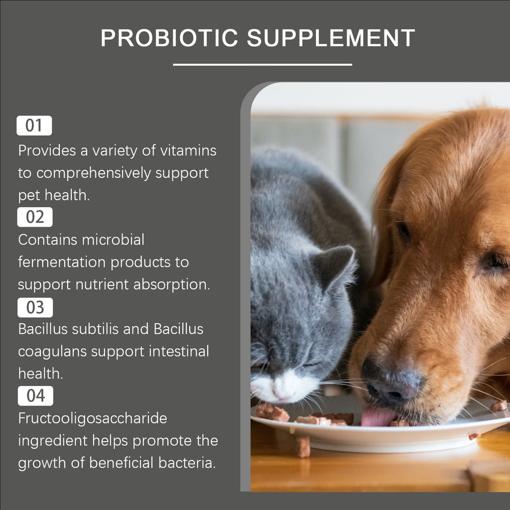 Comprimés à croquer probiotiques pour chiens et chats