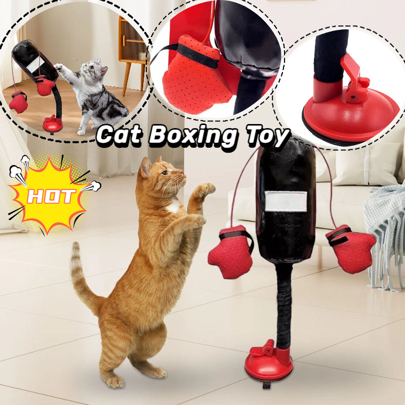 Portable Cat Punching Bag Toy Interactive Indoor Cats Kitten Toy with Gants Cat Toy for K