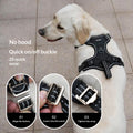 Harnais pour chien léger à double usage pour traction automobile