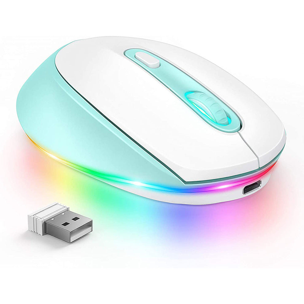 24g Souris sans fil 1600dpi Ergonomic rechargeable
