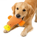 Jouets pour chiens pour brochettes agressives